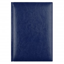 Ежедневник Birmingham 5463 145x205 мм, синий , белый блок, черно-синяя графика, 2019