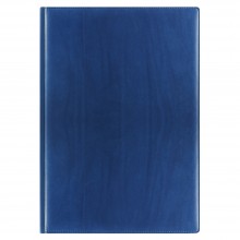 Ежедневник REINA, А4, датированный (2020 г.), синий