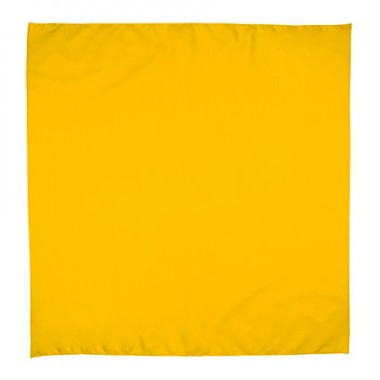 Платок-бандана BANDANA