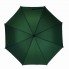 Зонт-трость с деревянной ручкой "Денди", зеленый