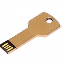 USB 2.0- флешка на 8 Гб в виде ключа