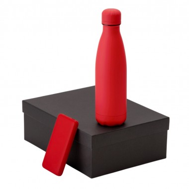 Подарочный набор COLOR IT с термобутылкой и повербанком