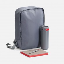 Набор Flexpen Travel, серый с красным