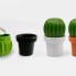 МЕЛЬНИЦА ДЛЯ СПЕЦИЙ Tasty Cactus