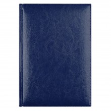 Ежедневник недатированный Birmingham 145х205 мм, без календаря, с лого AvD, синий