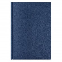 Ежедневник недатированный Dallas 145х205 мм, без календаря, с лого AvD, синий