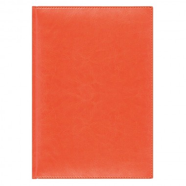 Eжедневник недатированный Birmingham 145х205 мм, без календаря, оранжевый