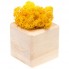 Декоративная композиция GreenBox Wooden Cube, желтый