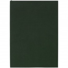 Ежедневник Flat Light, недатированный, зеленый