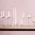 Набор бокалов для шампанского Essence