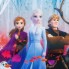 Рюкзак Frozen. Journey, белый