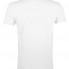 Футболка мужская Regent Fit 150, белая