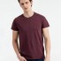 Футболка мужская Regent Fit 150, бордовый меланж