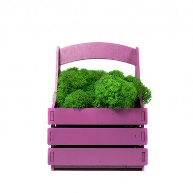 Композиция Корзинка со мхом