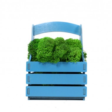 Композиция Корзинка со мхом