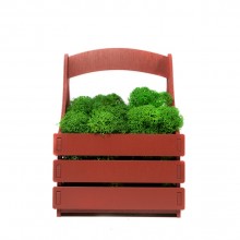 Композиция Корзинка со мхом