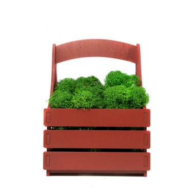 Композиция Корзинка со мхом