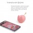 Портативная колонка Mysound Tito 4C