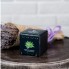 Набор для выращивания Small village cube Агава Благородная