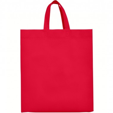 Сумка для шопинга LAKE